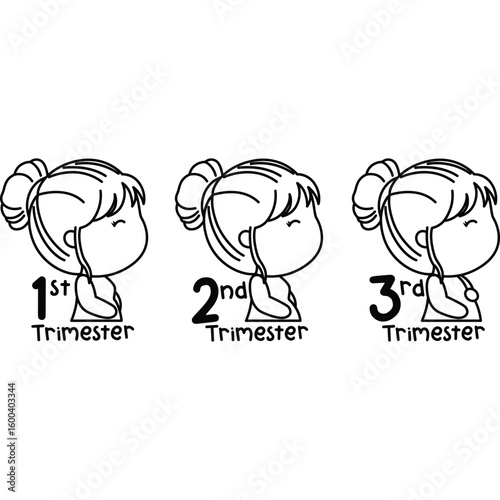 a vector of pregnant trimester