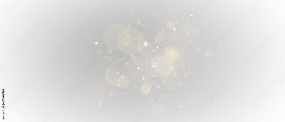 Fototapeta premium PNG Light Effect, Bokeh Vector Transparent Sunlight Shine, Sparkling Glow, Radiant Flash, Magic Glitter Particles, Golden Shimmer, Glowing Rays, Abstract Light Burst, Twinkling.