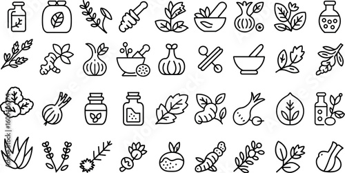 Medicinal herbs line icon set, featuring various spices and herbs including garlic, Ginger, cinnamon, chili, leaves, more vector illustration