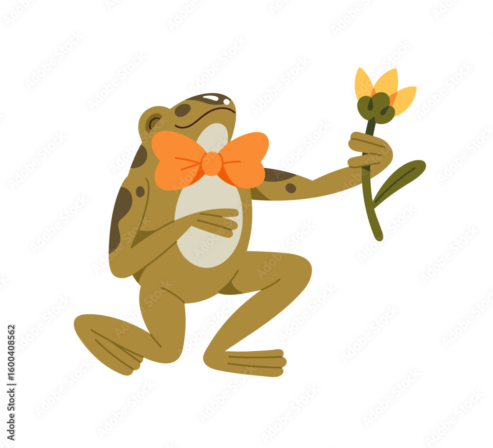 Fototapeta premium Happy green toad stands on a knee and gives floral gift. Cute frog holds branch of flower. Funny amphibian with bow tie and wildflower in hand. Flat isolated vector illustration on white background
