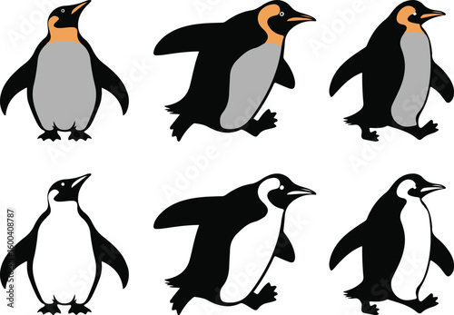 Set of different type of black Emperor penguin vector illustration