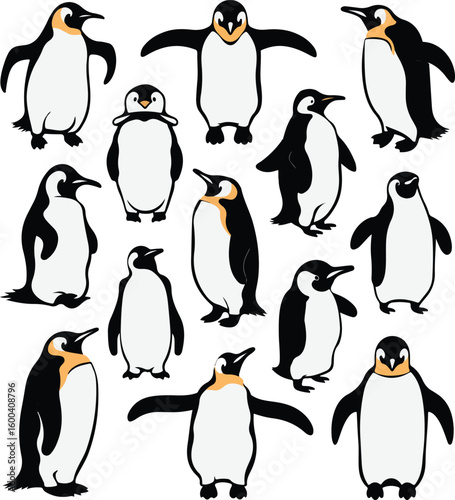 Set of different types of Emperor penguin vector illustration
