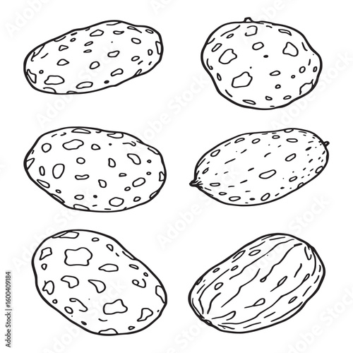 Potato line art fresh crispy tasty perfect golden snack