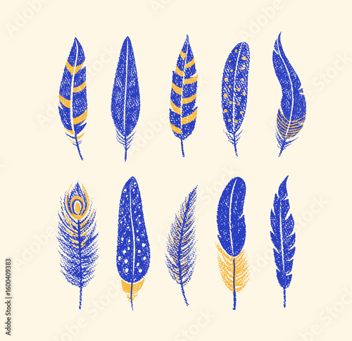 Bird feathers drawn with color crayon pencils. Pastel sketch of blue peacock, chicken, bird plumes. Set of boho feathers, quills with pattern and crayon or chalk texture, vector illustration