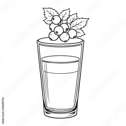 Redcurrant Juice line art tangy sweet nutritious thirst quencher