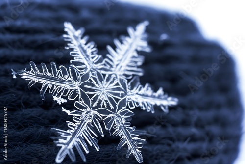 Intricate snowflake patterns adorning a dark wool mitten, showcasing delicate frost crystals and winter texture.