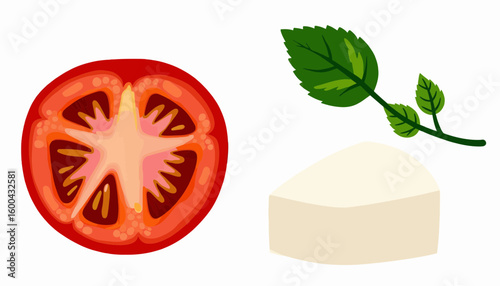 Sliced tomato, mozzarella cheese, and mint leaf on white background  