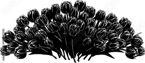 Set of many tulip flowers -black and white vector
