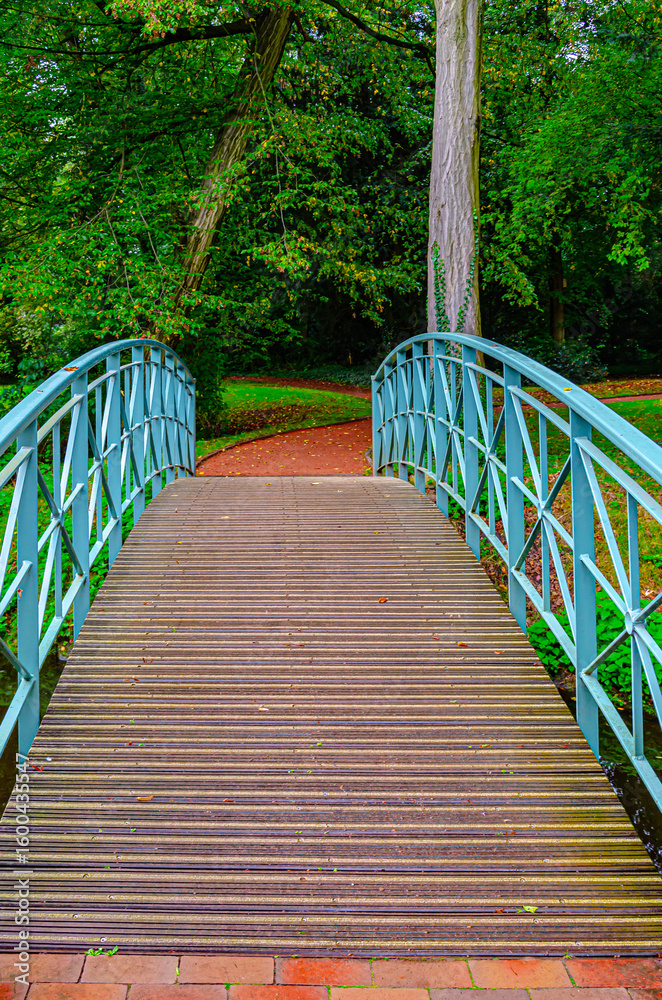 Obraz premium Old bridge in a park 