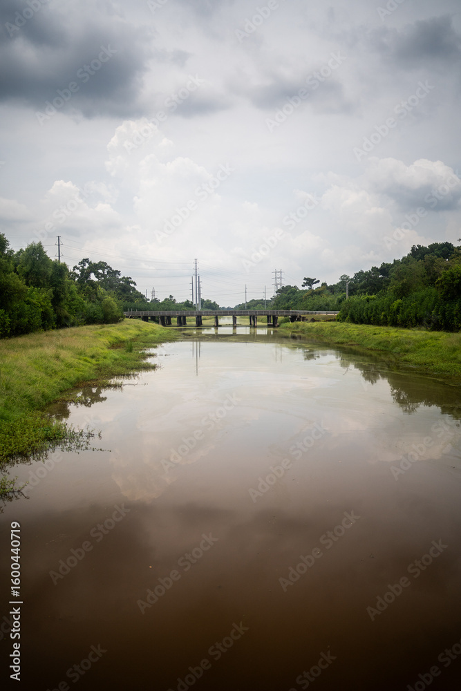 Fototapeta premium Bayou Sauvage, New Orleans, Louisiana