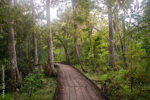 Bayou Sauvage, New Orleans, Louisiana