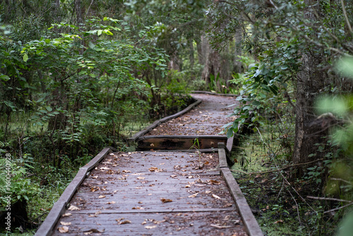 Bayou Sauvage, New Orleans, Louisiana