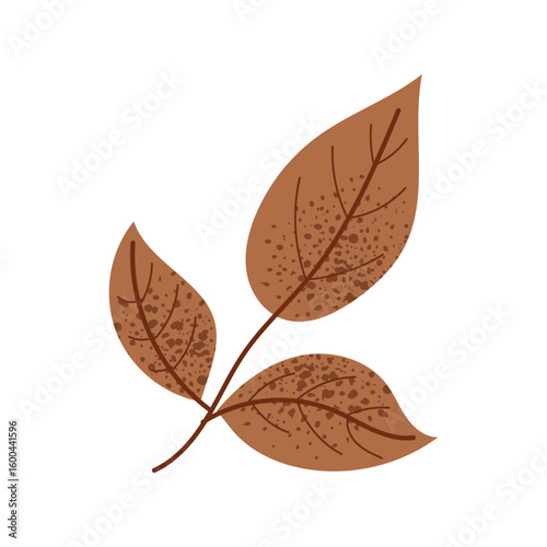 Autumn branch with three brown leaves. Seasonal foliage element with natural texture.