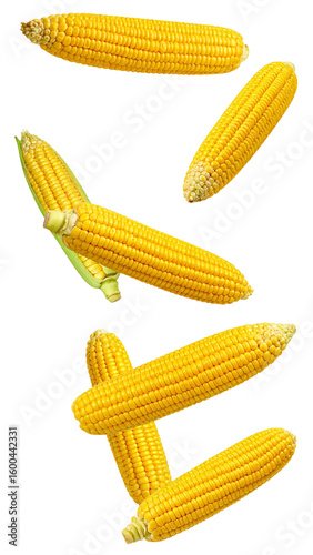 Ripe corn cobs falling, green leaves suspended, presenting fresh agricultural harvest on transparent backdrop