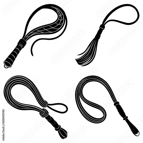 Illustrations of four different black whips with varying handle and lash designs on a white background