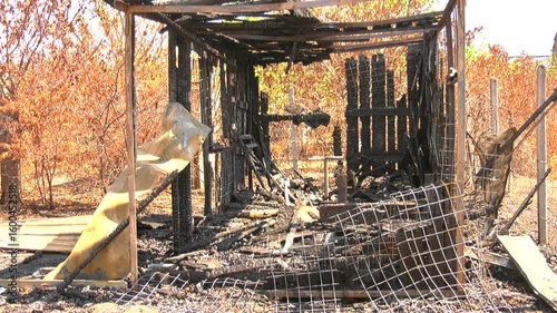 Burnt wooden structure against yellow plants