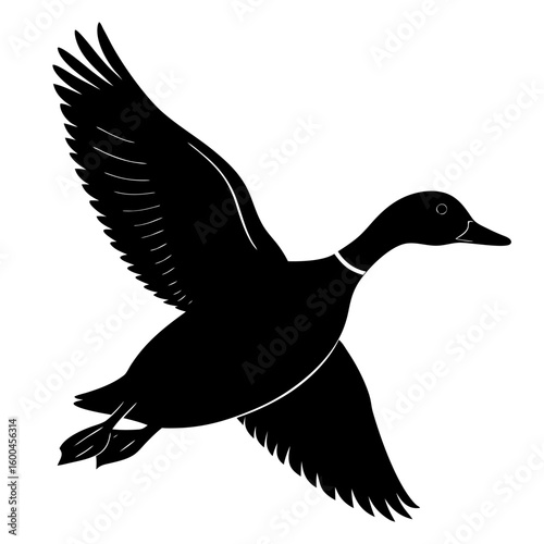 Flying duck bird animal wildlife waterfowl black silhouette vector illustration