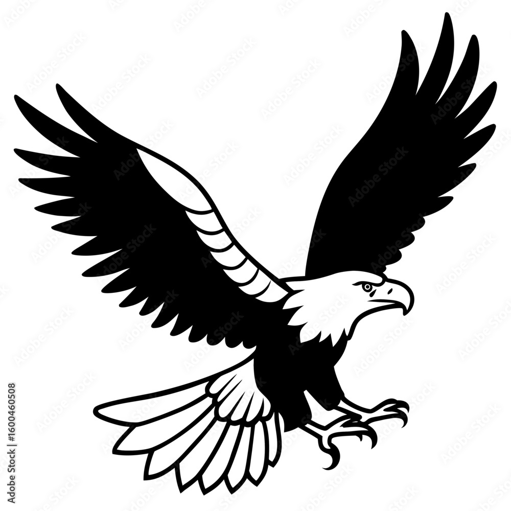 Obraz premium eagle in flight