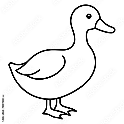 vector illustration of a duck