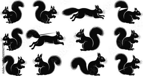 Squirrel silhouette vector set, cartoon squirrels in various poses, forest animal icon collection, jumping, sitting, eating squirrel illustration bundle