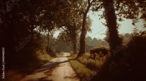 Vintage country lane in summer sunlight with dreamy retro film look and quiet rural charm (Stylized as analog film photography from the 70s)