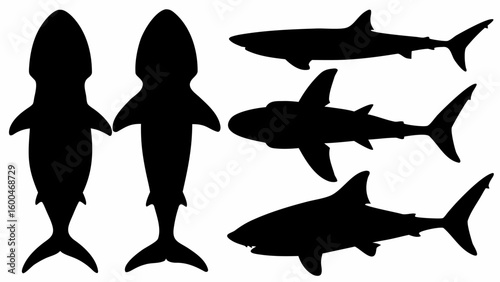 Silhouette depiction of sharks in various poses including top down and side views on a white background