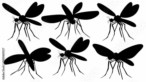 Silhouette depiction of six mosquitoes with prominent wings and legs spread across a white background space