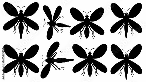 Silhouette illustration showing eight insects with wings and legs arranged in a pattern