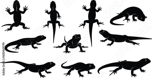 Silhouette set of lizards in various poses, isolated reptile vector illustrations for wildlife design, nature themes, and biology education
