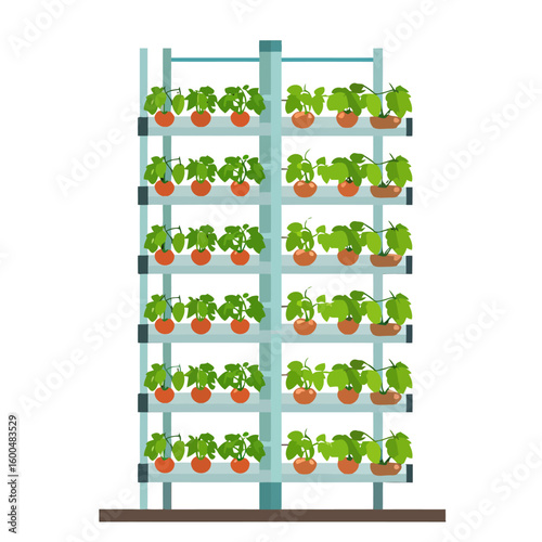 Flat vector illustration of a vertical farm rack with rows of green seedlings in terracotta pots.