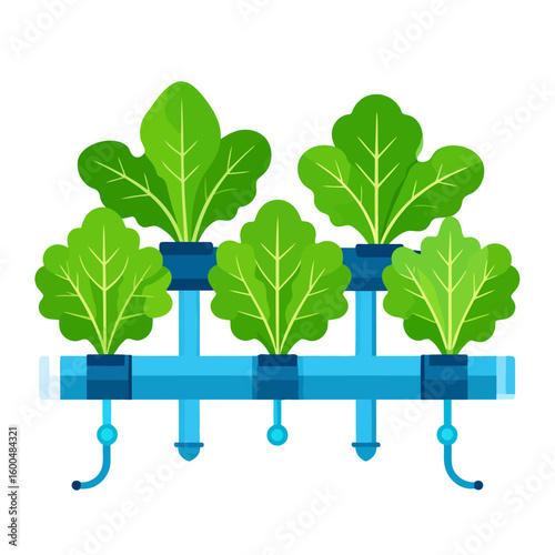 Modern hydroponic system with lush green leafy plants growing in a blue pipe network.
