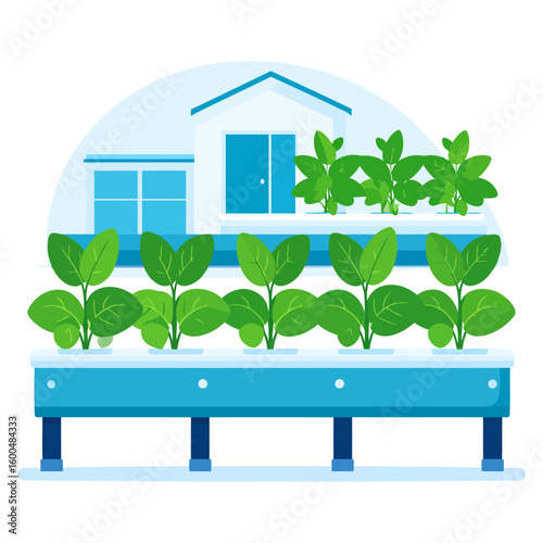 Hydroponic Vegetable Garden on a Rooftop Greenhouse