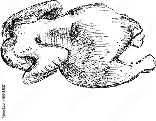 vintage hand-drawn broiler chicken carcass