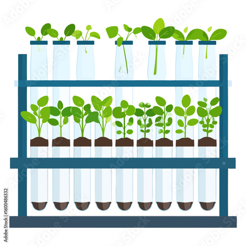 Laboratory-grown plants in test tubes, showcasing various growth stages and vibrant green foliage.