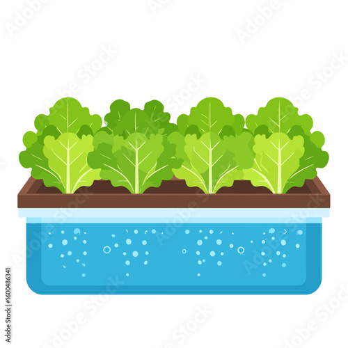 Cartoon hydroponic system with fresh green lettuce growing in a self-watering planter box.