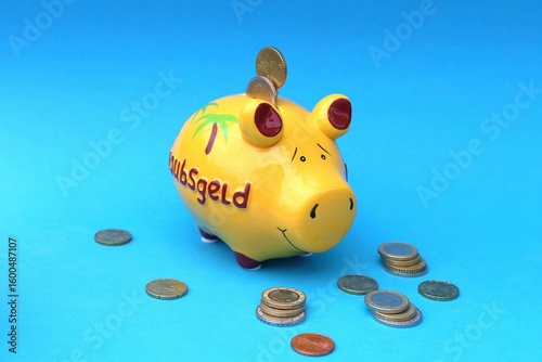 Save money for a house, for a vacation. The yellow piggy bank will help you.
