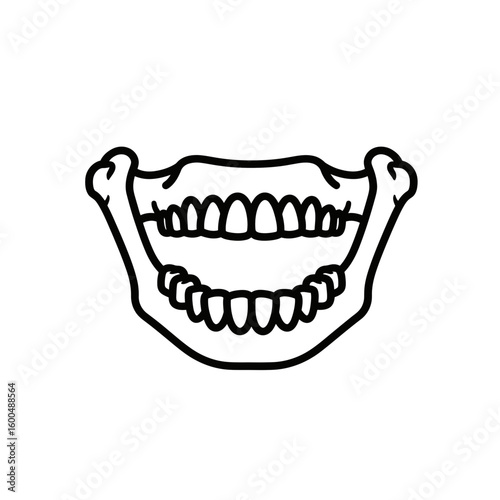 Anatomical illustration of human jaw and teeth in black outline  