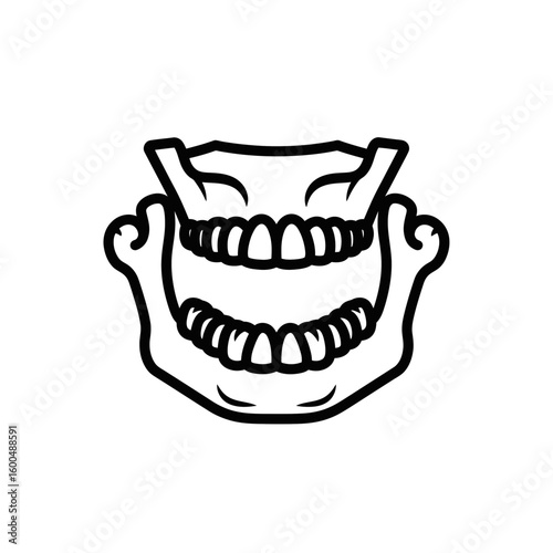 Anatomical illustration of human jaw with teeth and bones  