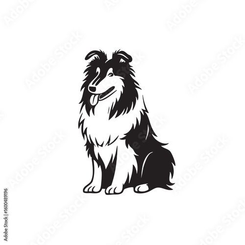 Collie dog sitting happily in profile for design use