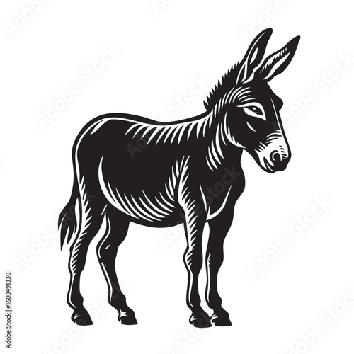 Black and white donkey illustration for rustic designs and decor