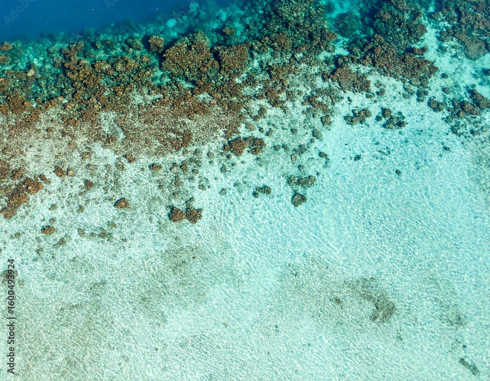 Obraz premium Blurred coral reef texture from aerial view