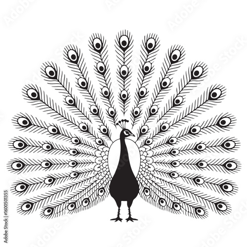 A striking image showcasing the vibrant plumage of a peacock, featuring its beautiful blue and green tail feathers isolated against a dark background