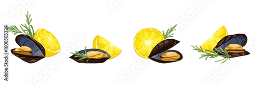 Seafood compositions set with mussel, citrus slice and herb. Clam, lemon rosemary twig. Hand drawn cartoon vector illustration, isolated on white background. Graphic print for culinary projects