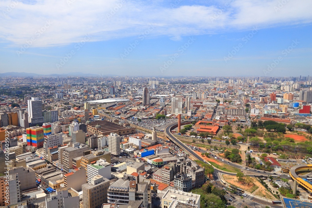 Fototapeta premium Sao Paulo city, Brazil