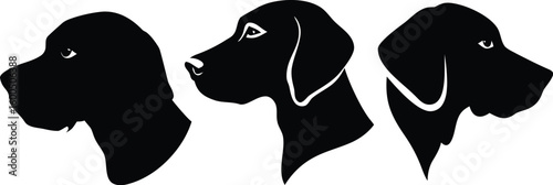 dog head, realistic, black and white illustration, digital art, high detail, precise lines, sharp contrast
