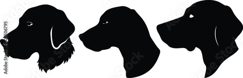 dog head, realistic, black and white illustration, digital art, high detail, precise lines, sharp contrast
