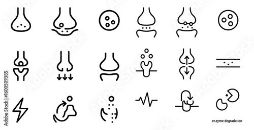 Nasal anatomy outline icons set – linear, medical, sinus and healthcare symbols