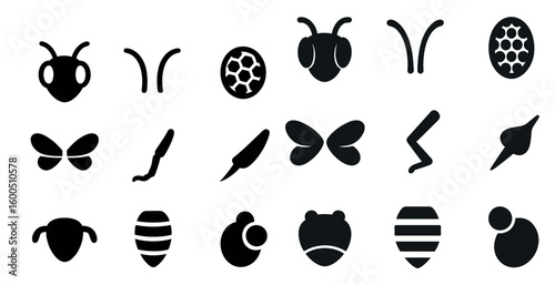Insect silhouette icons set – solid outlines, bug and entomology symbols