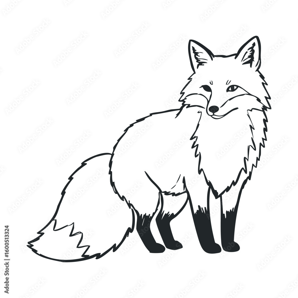 Fototapeta premium Line art of a standing fox with bushy tail and pointed ears