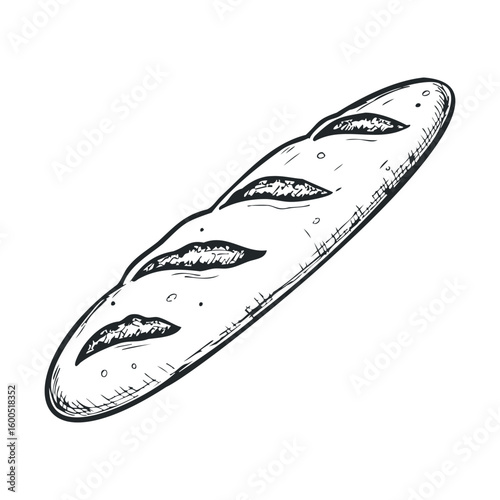 Hand-drawn baguette illustration with detailed texture and crust